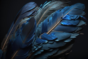 Blue bird feathers
